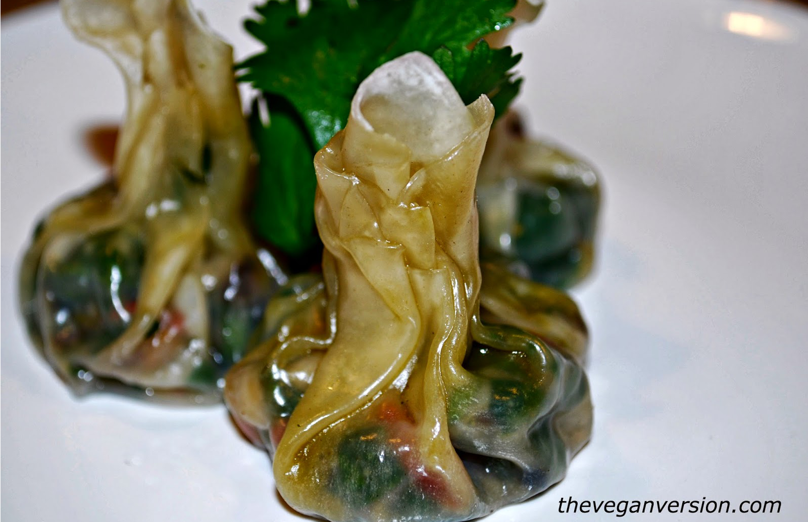 Vegetable Dumplings
