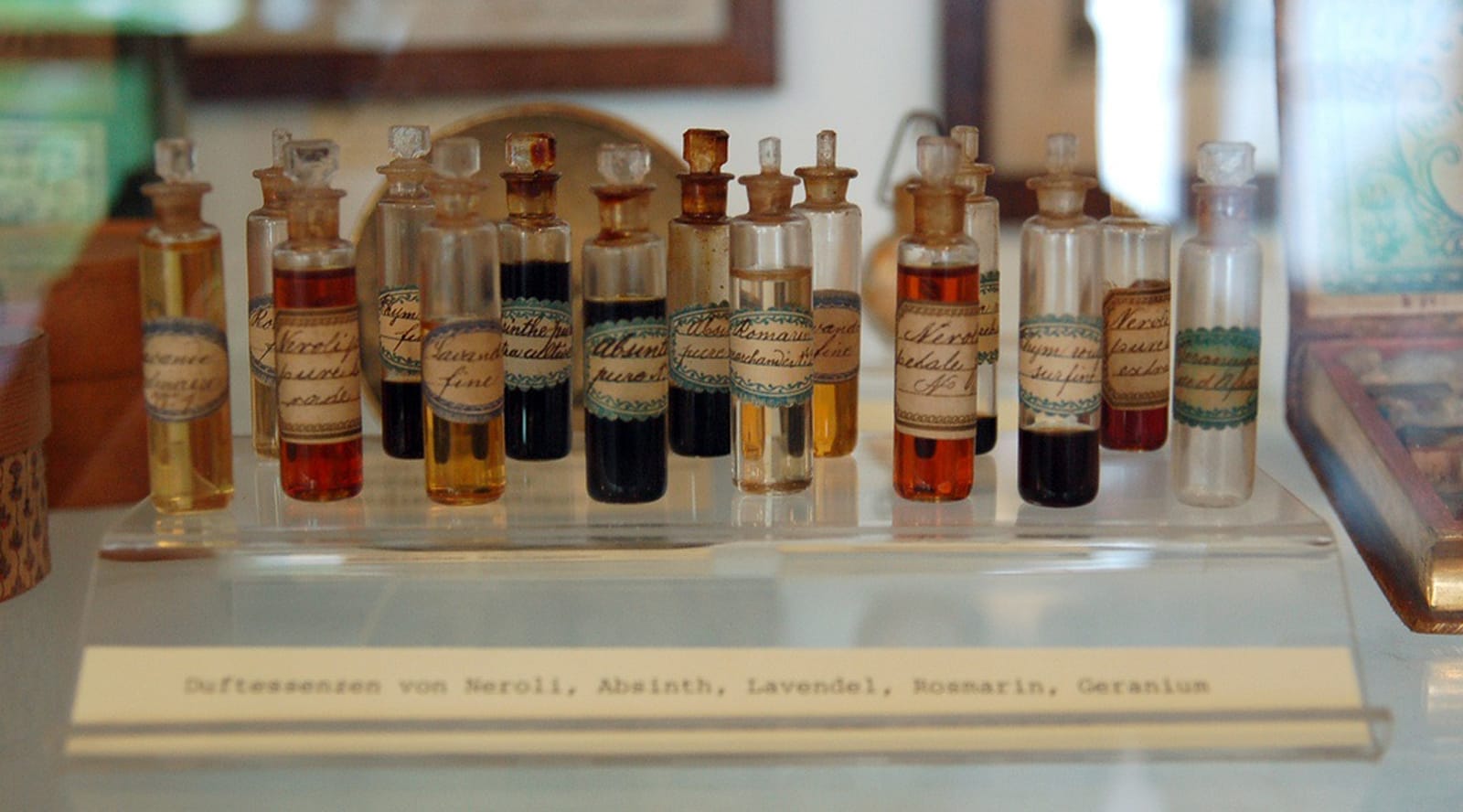 5 Essential Oils Every Green Monster Needs in Their Home