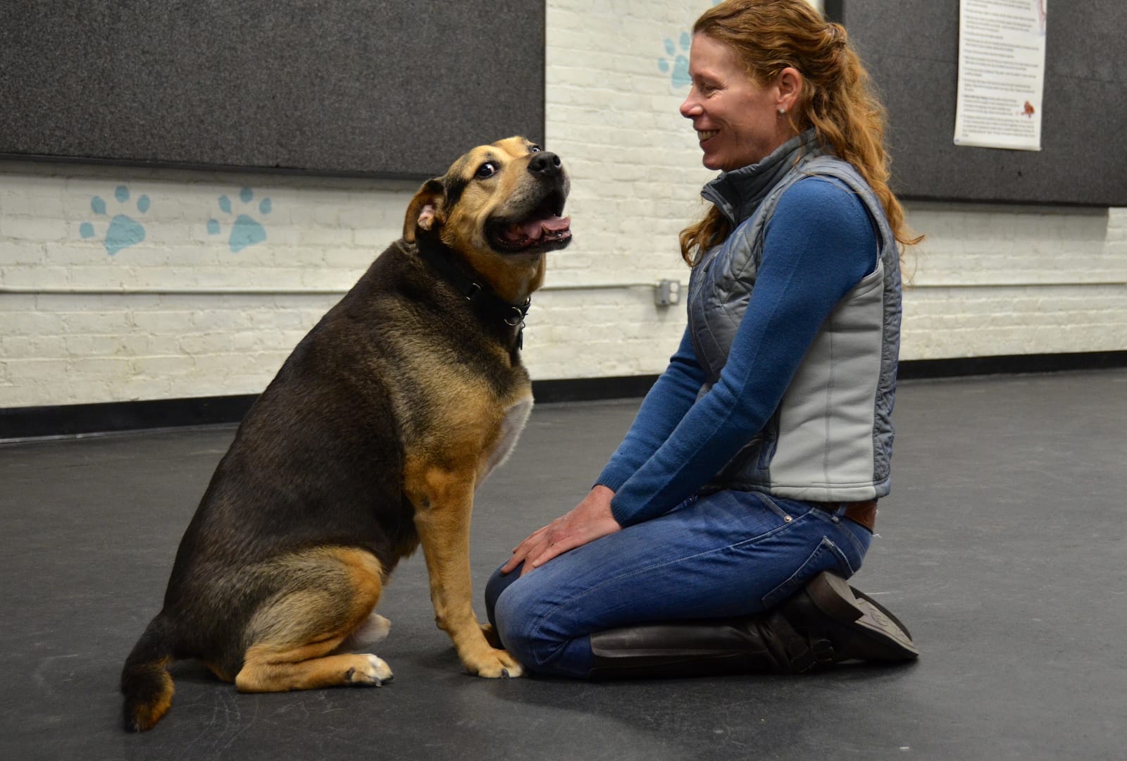 6 Jobs for People Who Want to Change the World for Animals