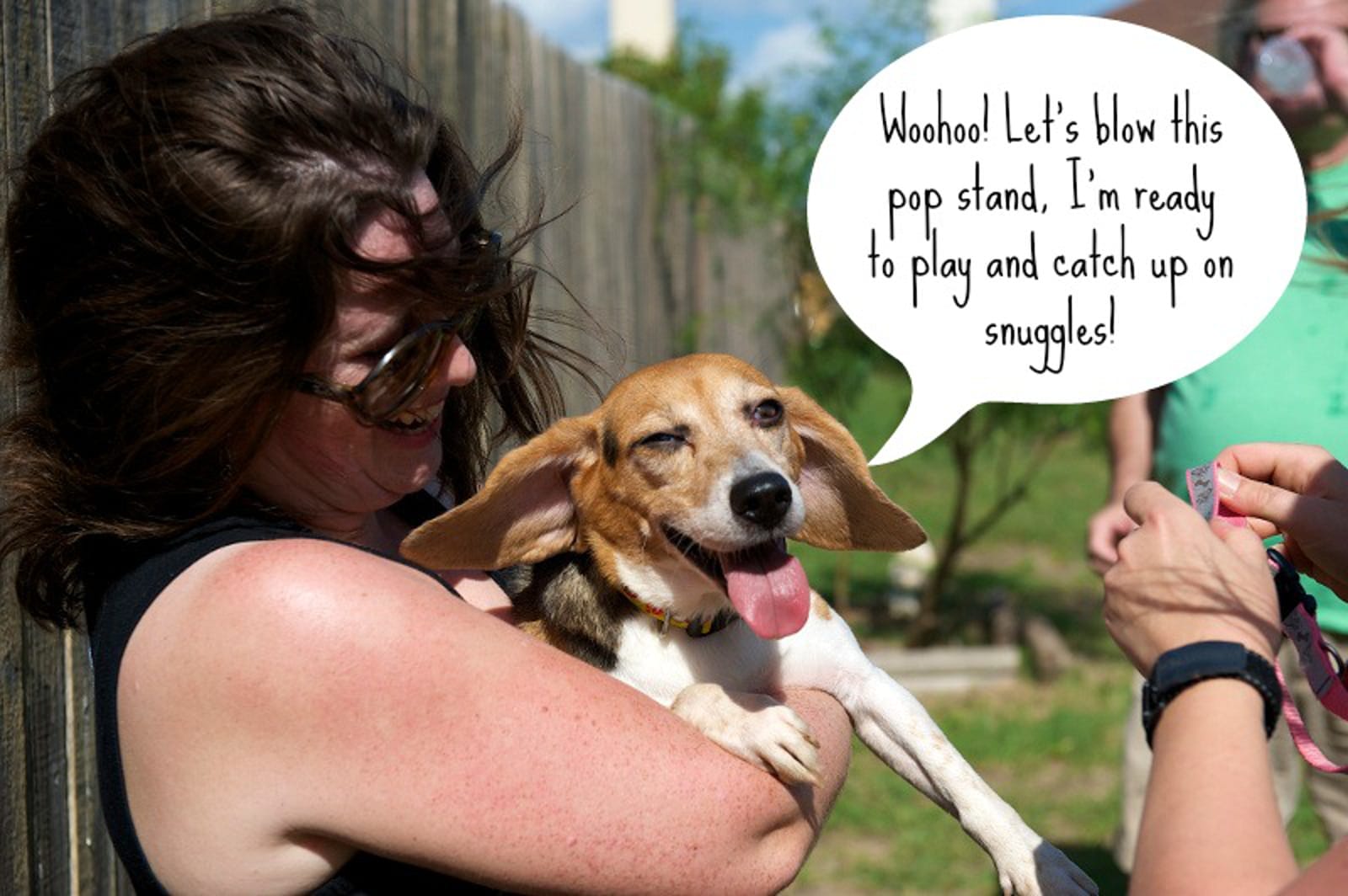 BeagleFreedomProject462