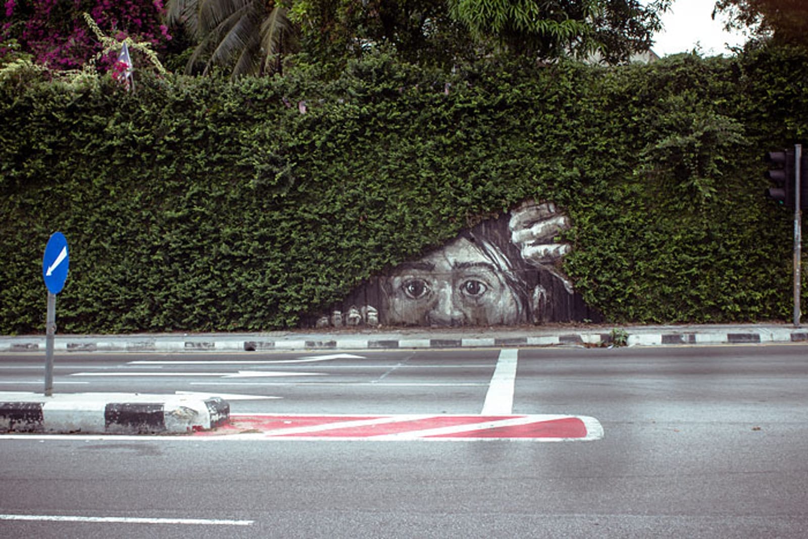 These Awesome Graffiti Artists Are Shaking Up the way We Think About Our Relationship With Nature