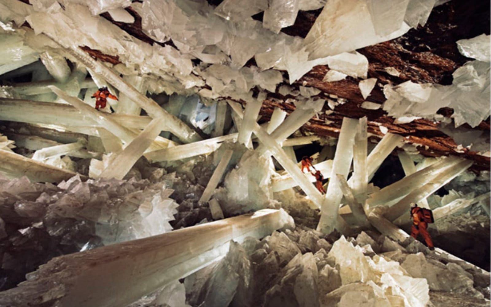 dat-cave-doe
