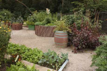 How to Make Your Patio (or Balcony) an Abundant Source of Food