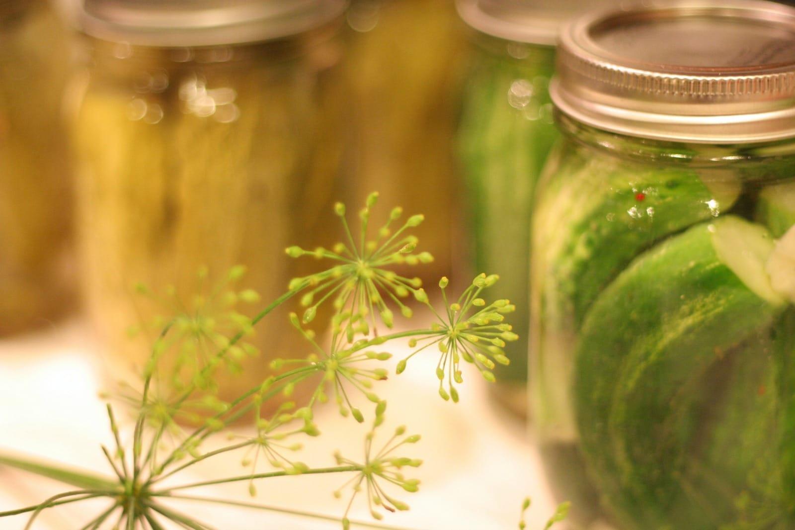 pickles