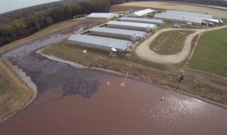 The Shocking Truth About the Health and Environmental Impact of Factory Farm Waste
