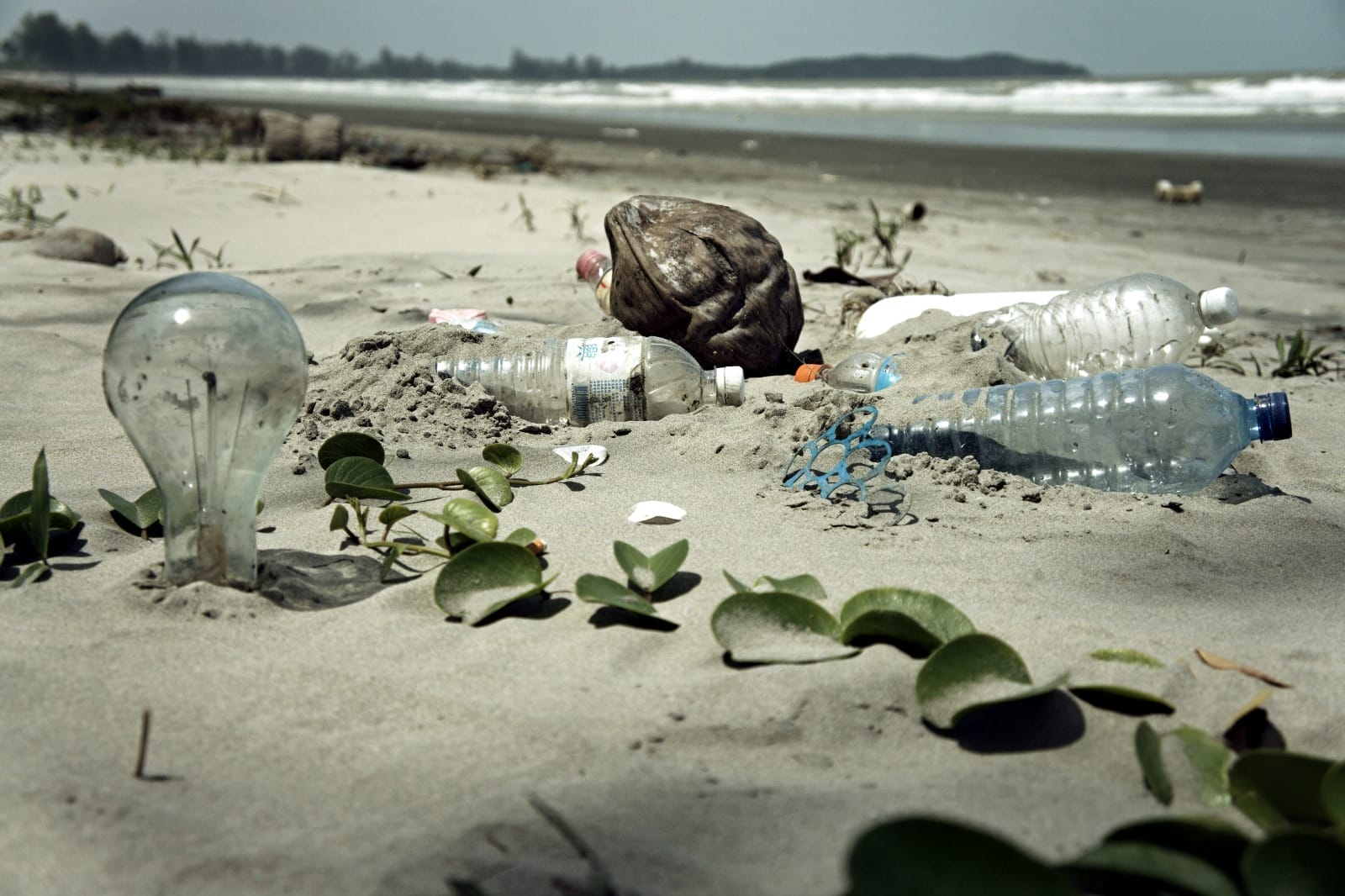 This One Simple Action Can Reduce So Much Waste