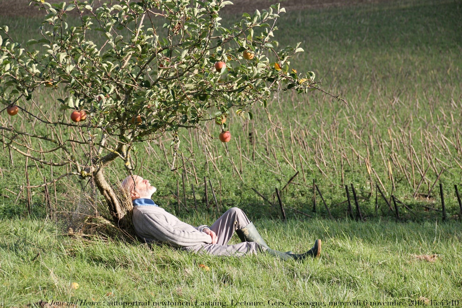 lazyfarme