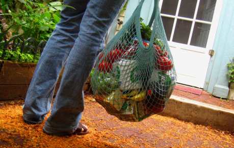 Someone walking to a house holding a mesh bag of produce
