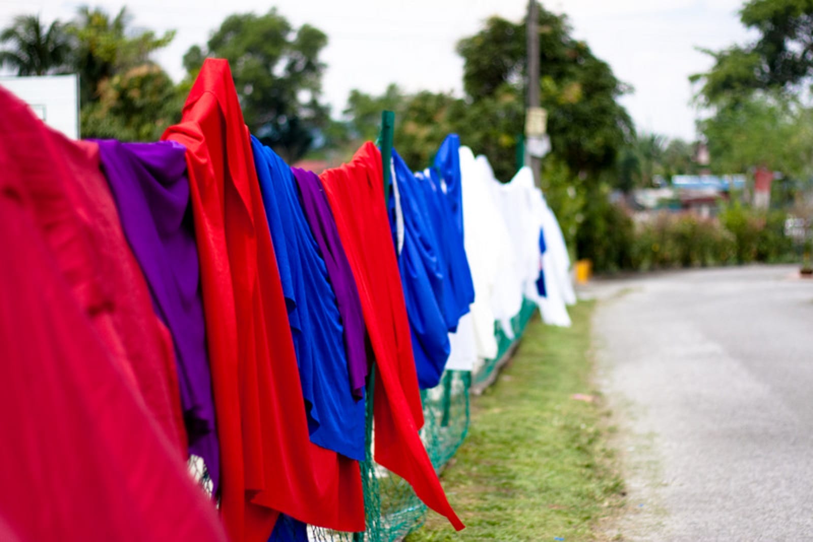 What Is the Most Eco-Friendly Material for Clothing?