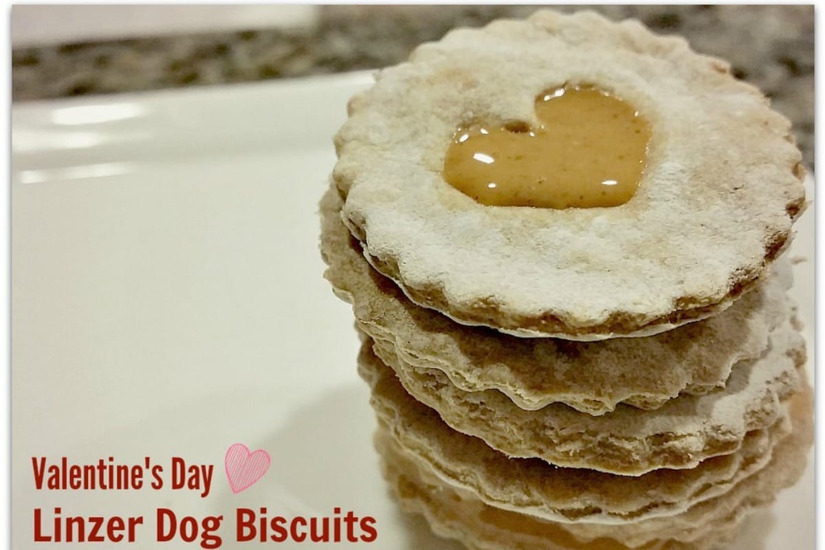 Heart-Shaped Linzer Dog Biscuits For Valentine's Day [Vegan]