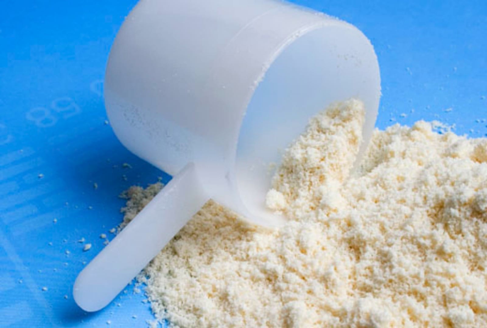 protein-powder