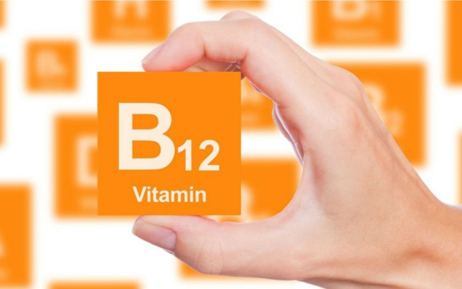 b12-mg
