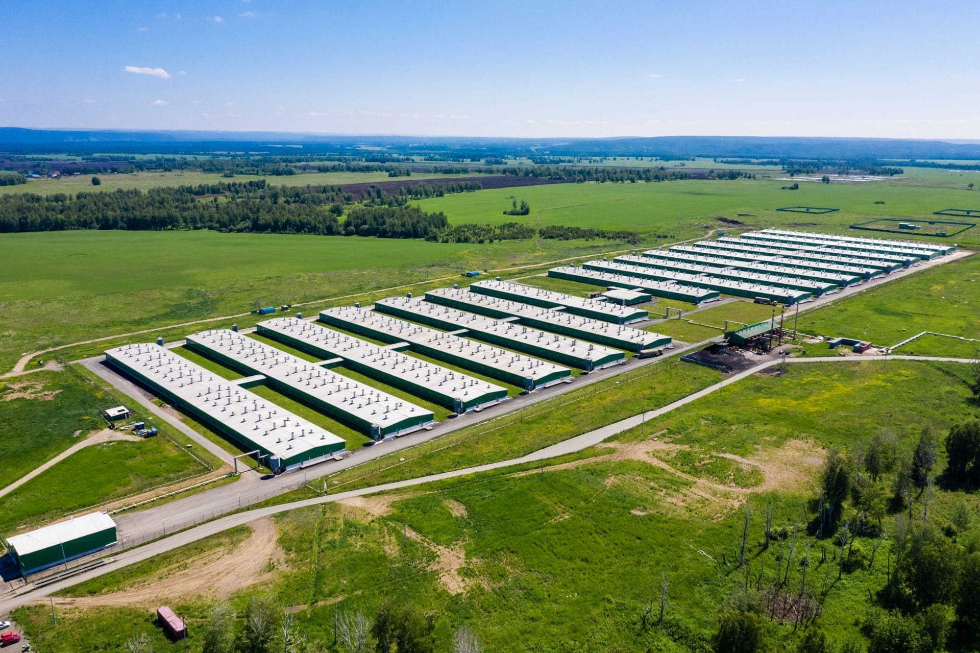 factory farm