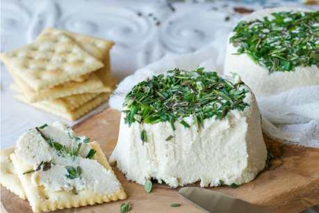 Roasted Garlic and Fresh Herb Cream Cheez (a.k.a. Vegan Boursin)