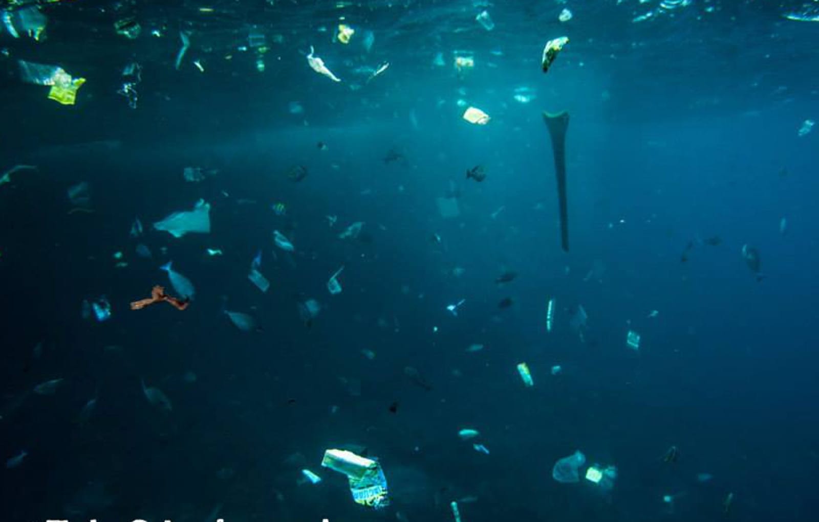 Photographer Captures Heartbreaking Images of a What It's Like to Dive in an Ocean of Plastic