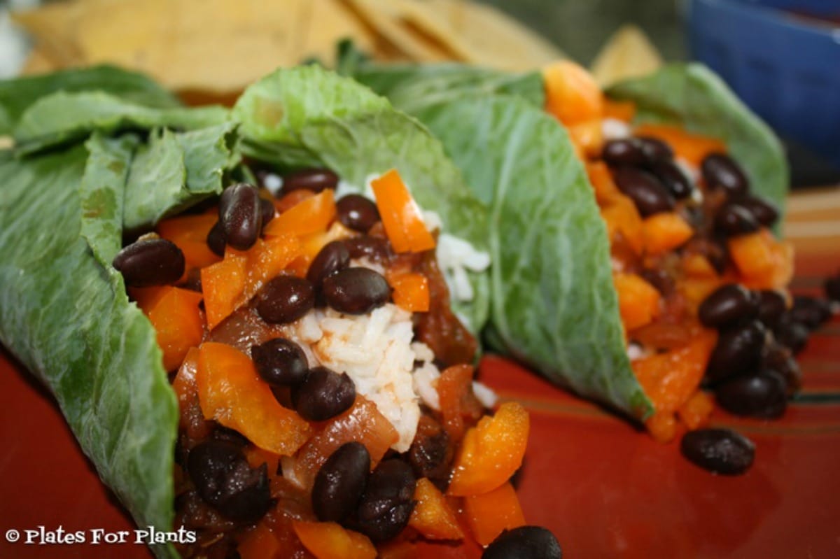 Collard Burritos and Tortilla Chips [Vegan, Gluten-Free]