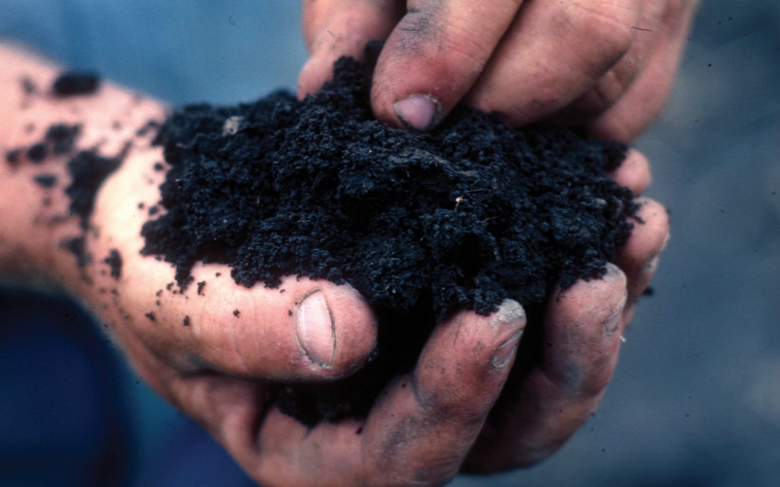 Why Permaculture Isn't Just About Organic Farming