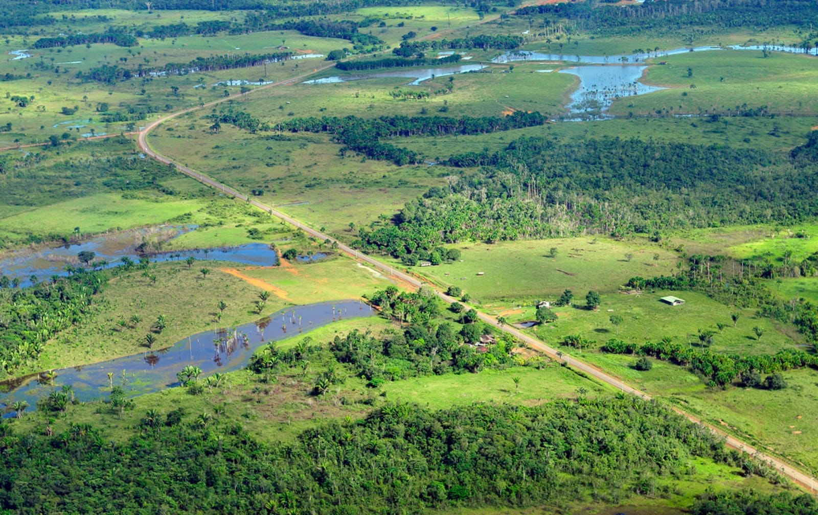 The Surprising Way China's Growing Appetite for Meat is Causing Deforestation in South America