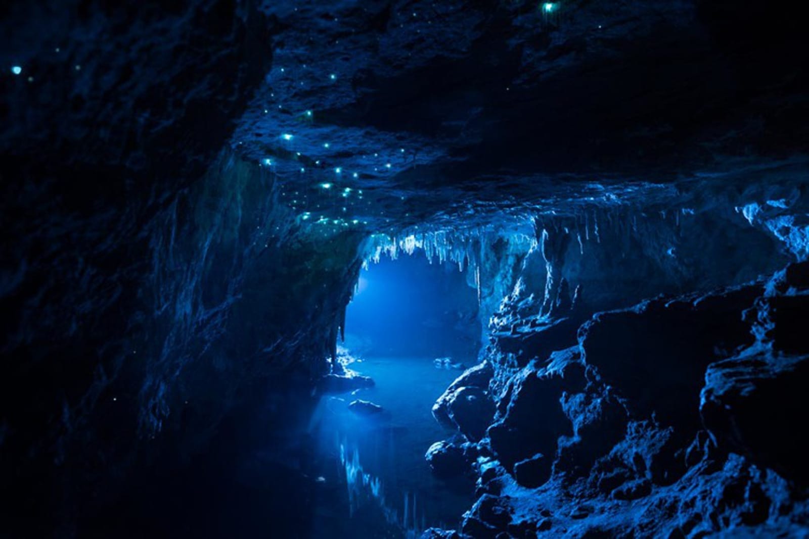 Breathtaking Photographs of Bioluminescent Caves Will Inspire You to Stand Up for Nature