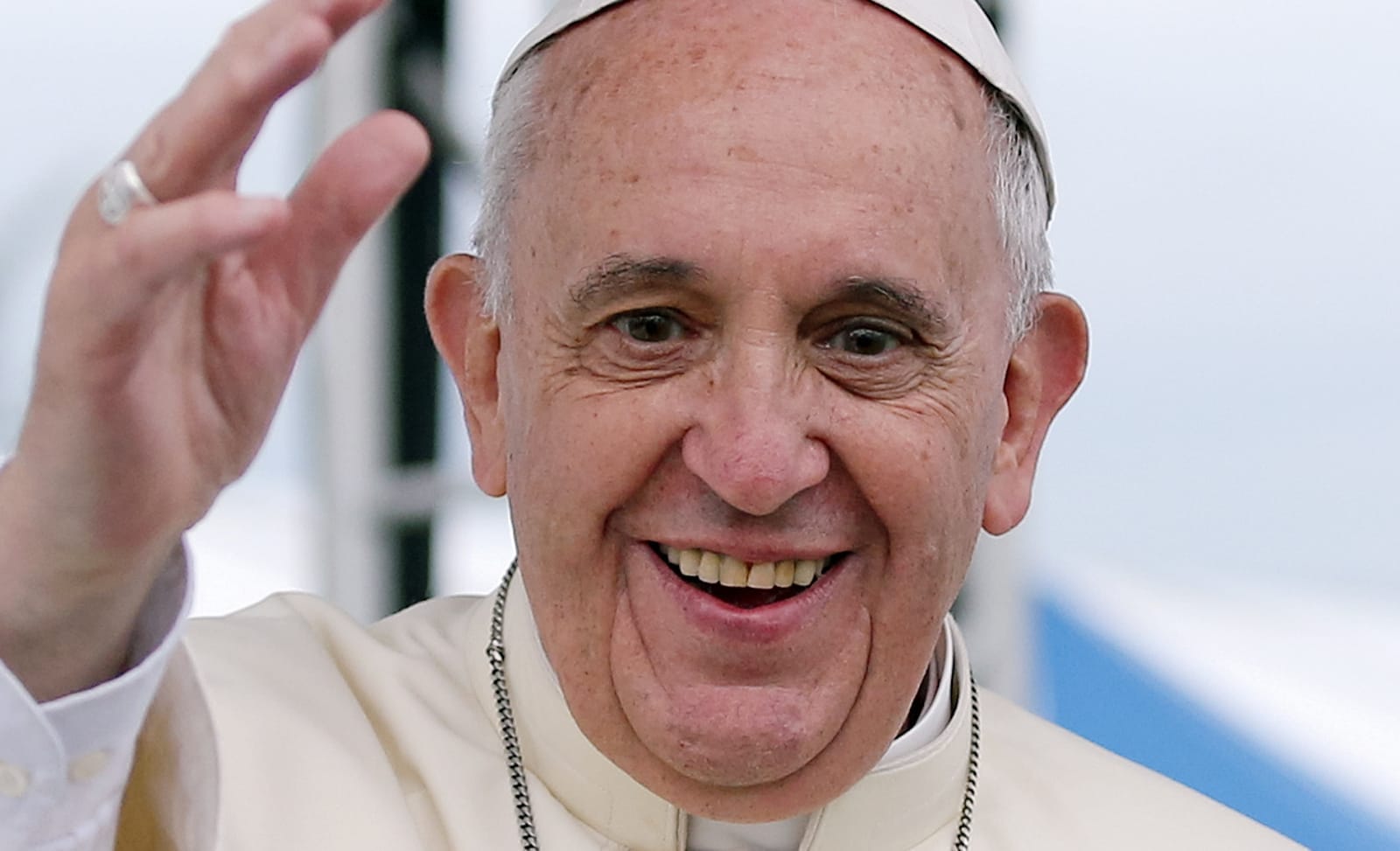 Pope Francis On How Compassion for Animals Can Help the Environment