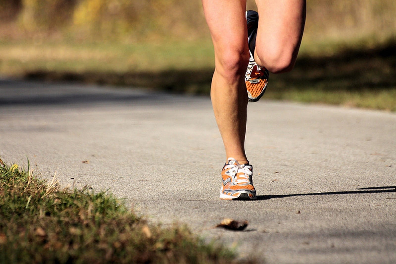 creatine-plant-based-vegan-athletes