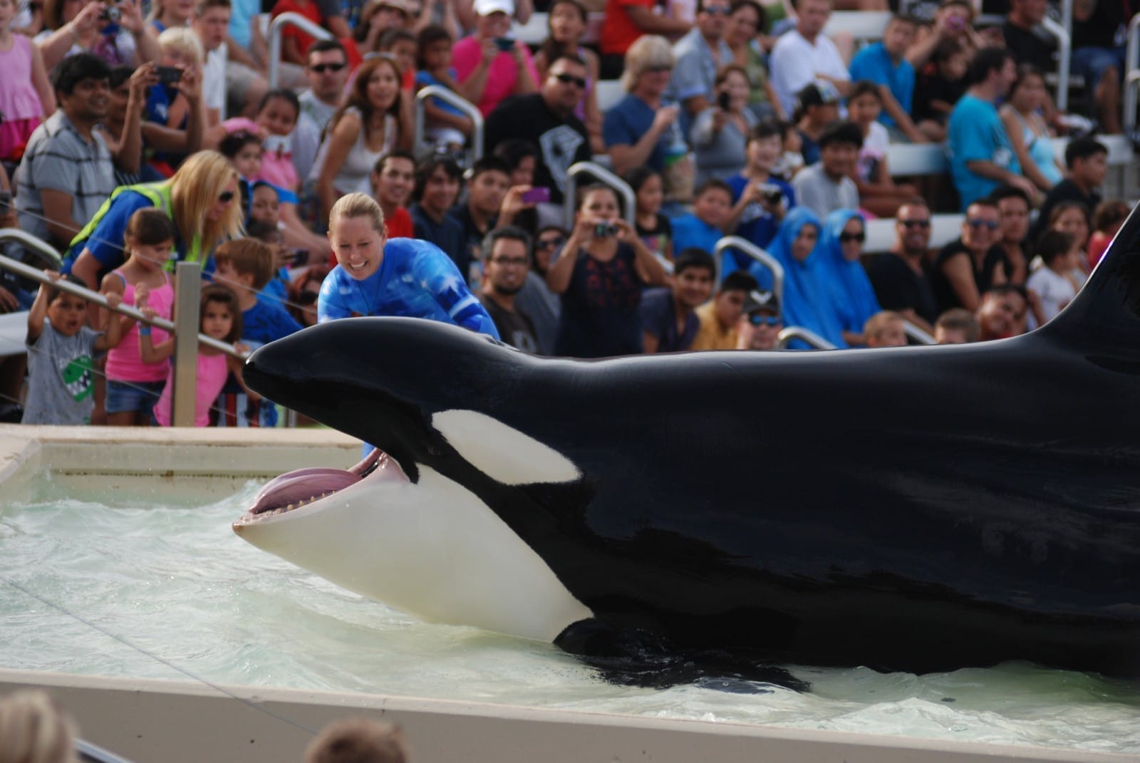 Sea World San Diego’s Troubled Past With the Clean Water Act