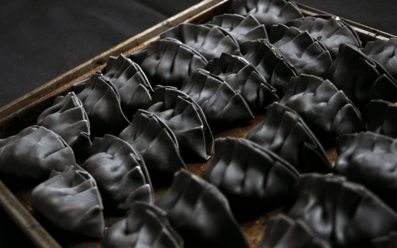 Dark Yaki Gyoza