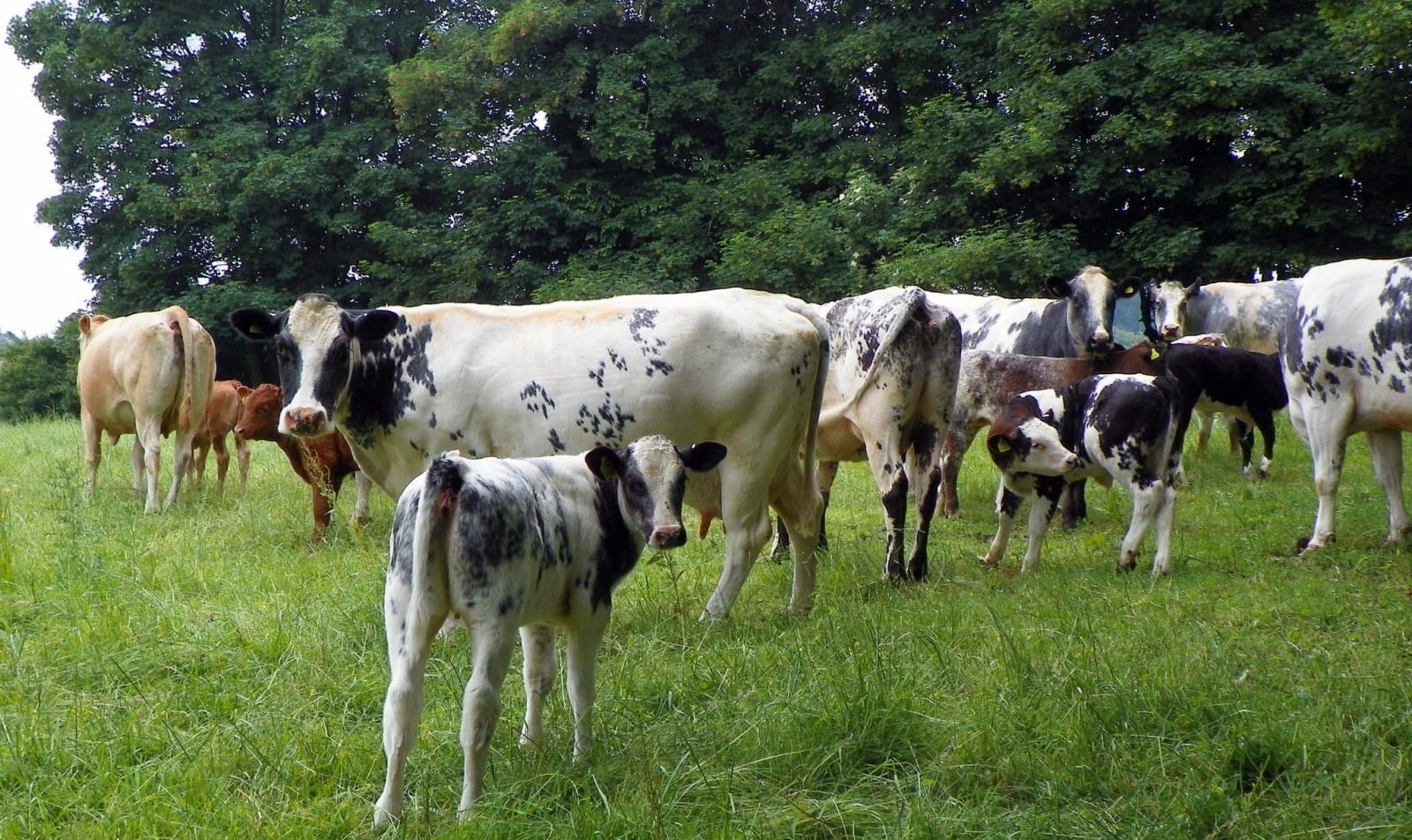 6 Ecosystems Impacted By Our Diets