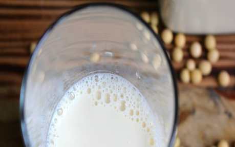 Homemade Soy Milk