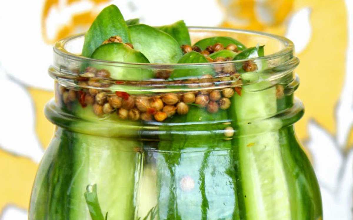 Super-Easy Refrigerator Dill Pickles