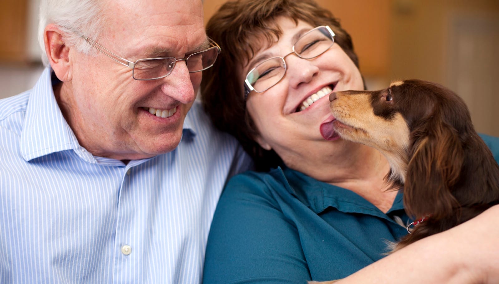 Senior Pets and Older People Make Awesome Friends. Here's Why.