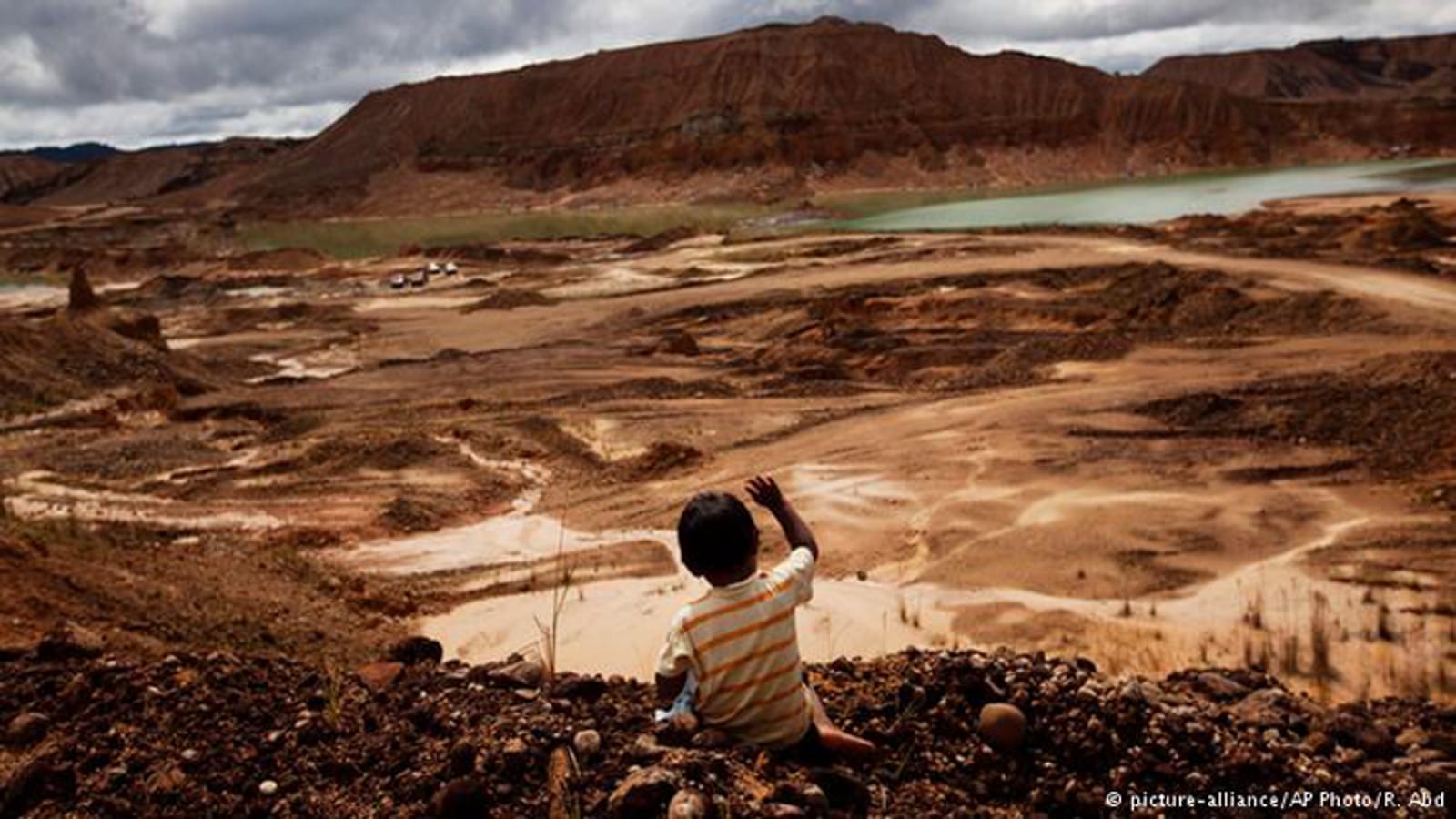 How do we Explain to our Children That This is the Forest we Left Behind Because we Wanted Cookies and Snacks? (PHOTO)
