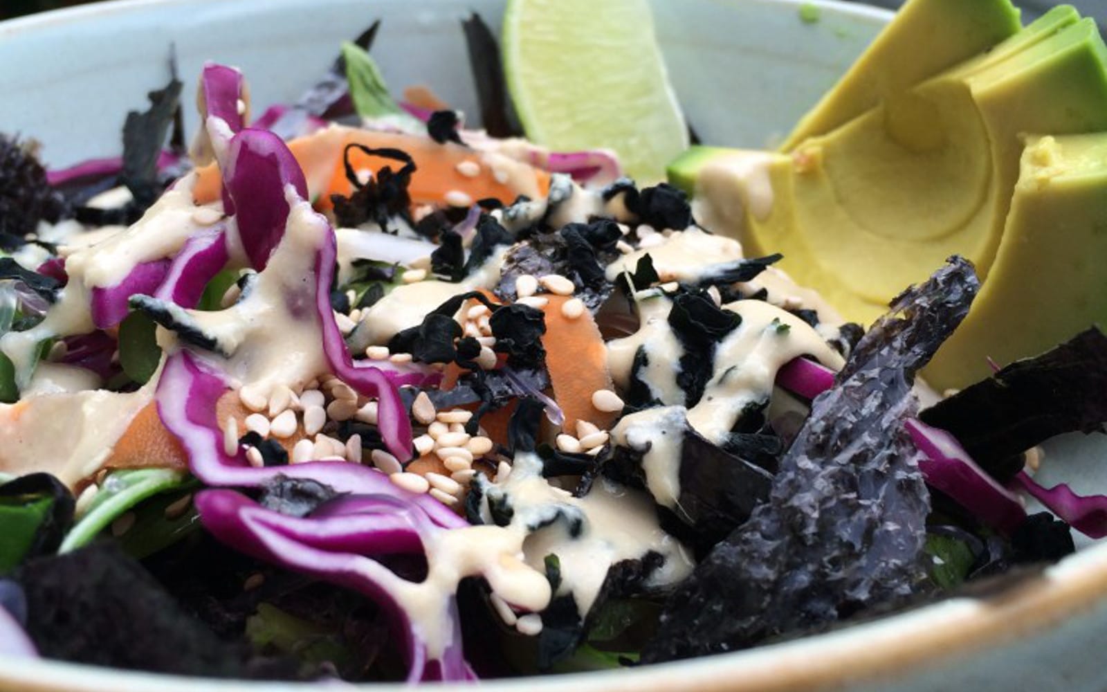 Kelp Noodle Sea Salad