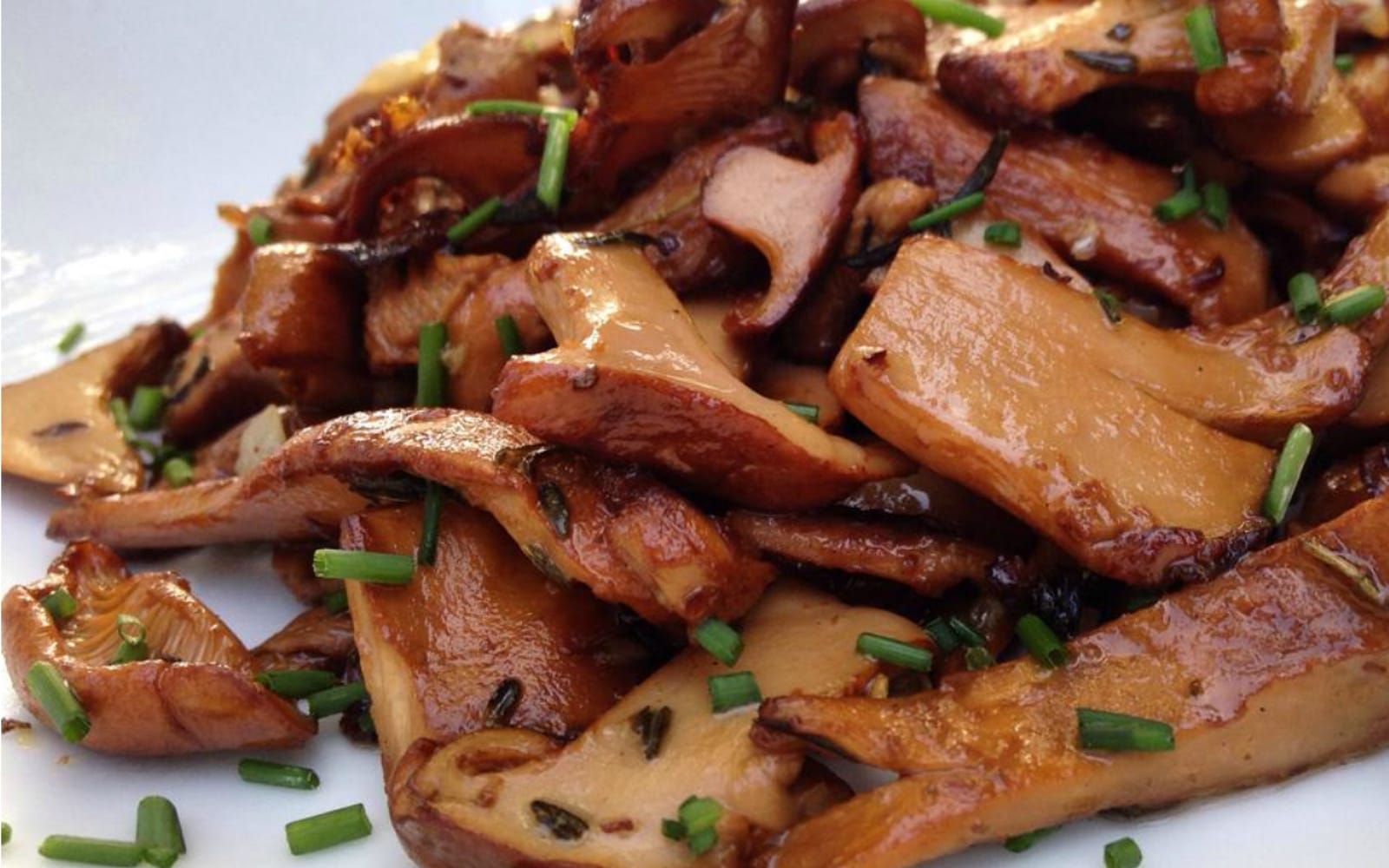 The Essential Guide to Cooking Mushrooms