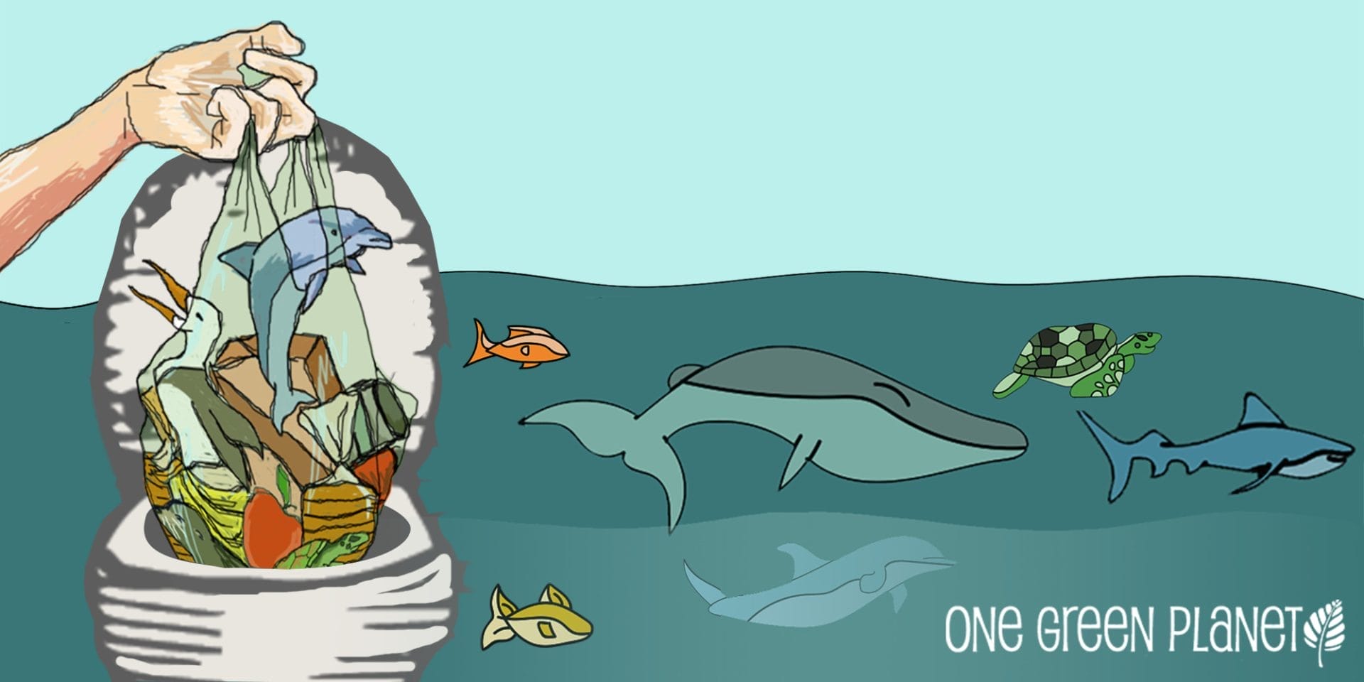 oceans_toilets_graphic