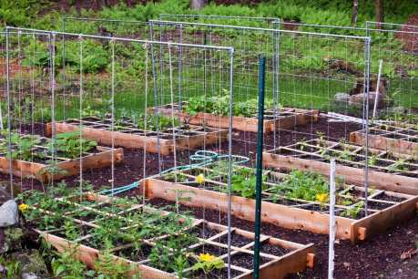 5 Methods for Making Raised Garden Beds