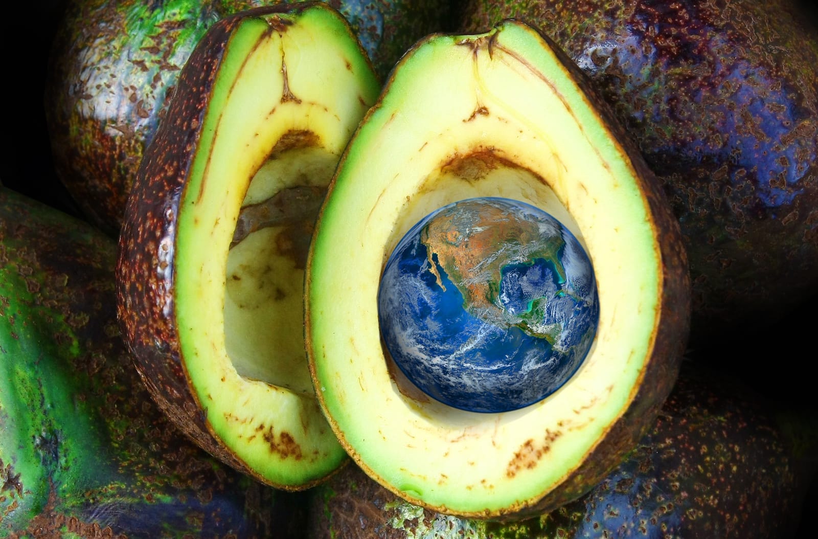 We Can all Change the World With Our Food Choices – But Our Government Needs to Follow