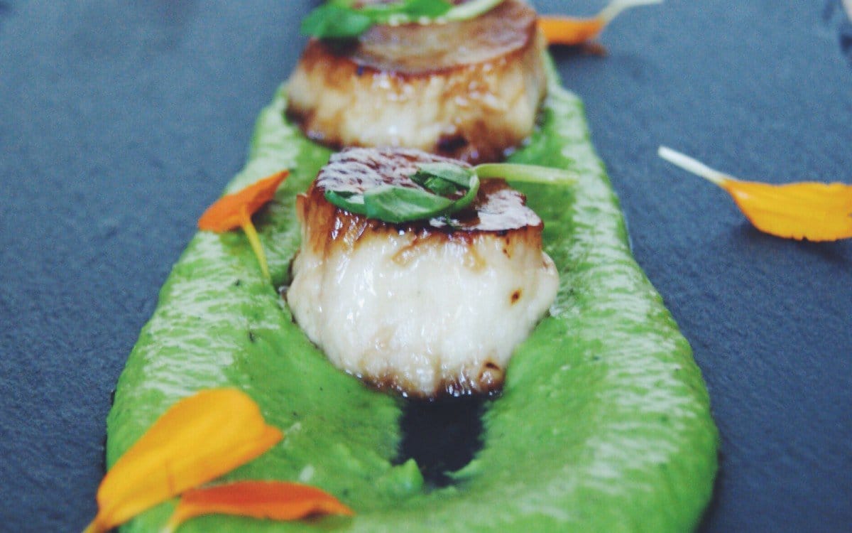 scallop mushrooms