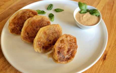 Ratatouille Gyoza