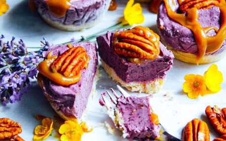 Raw Pecan Blueberry Spiced Cheesecakes
