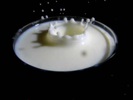 milk