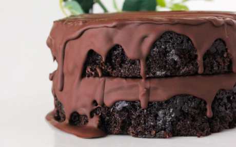 Double Layer Chocolate Mousse Cake 1