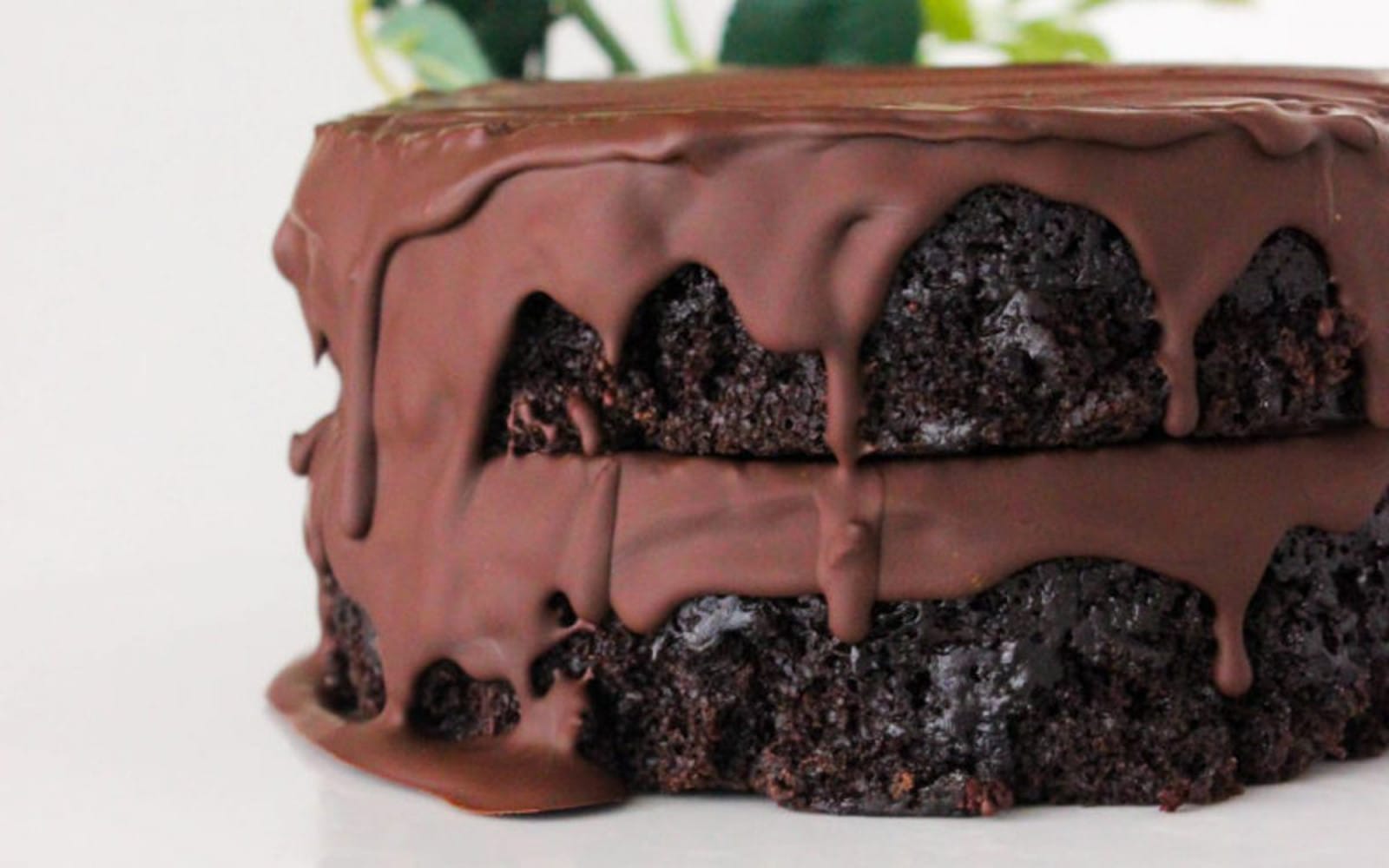 double layer chocolate mousse cake
