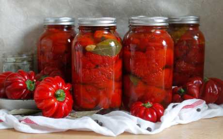 Marinated Red Pepper Preserves 5