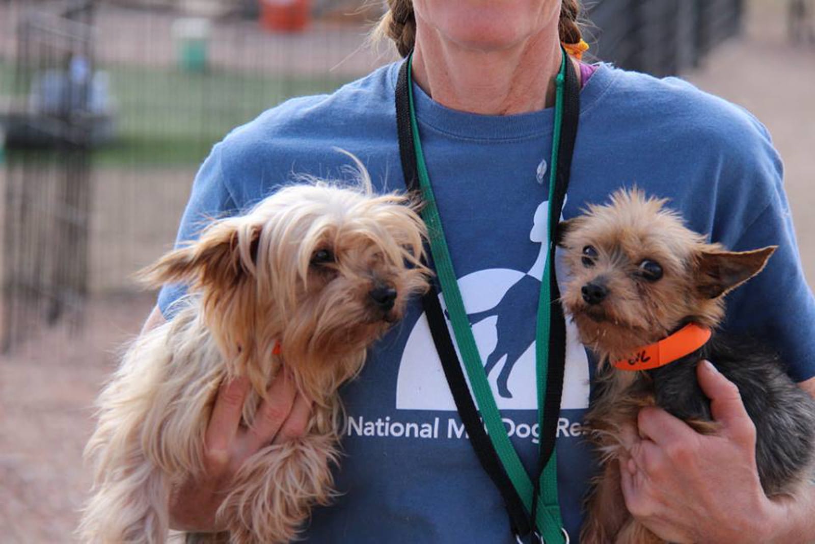 millpups