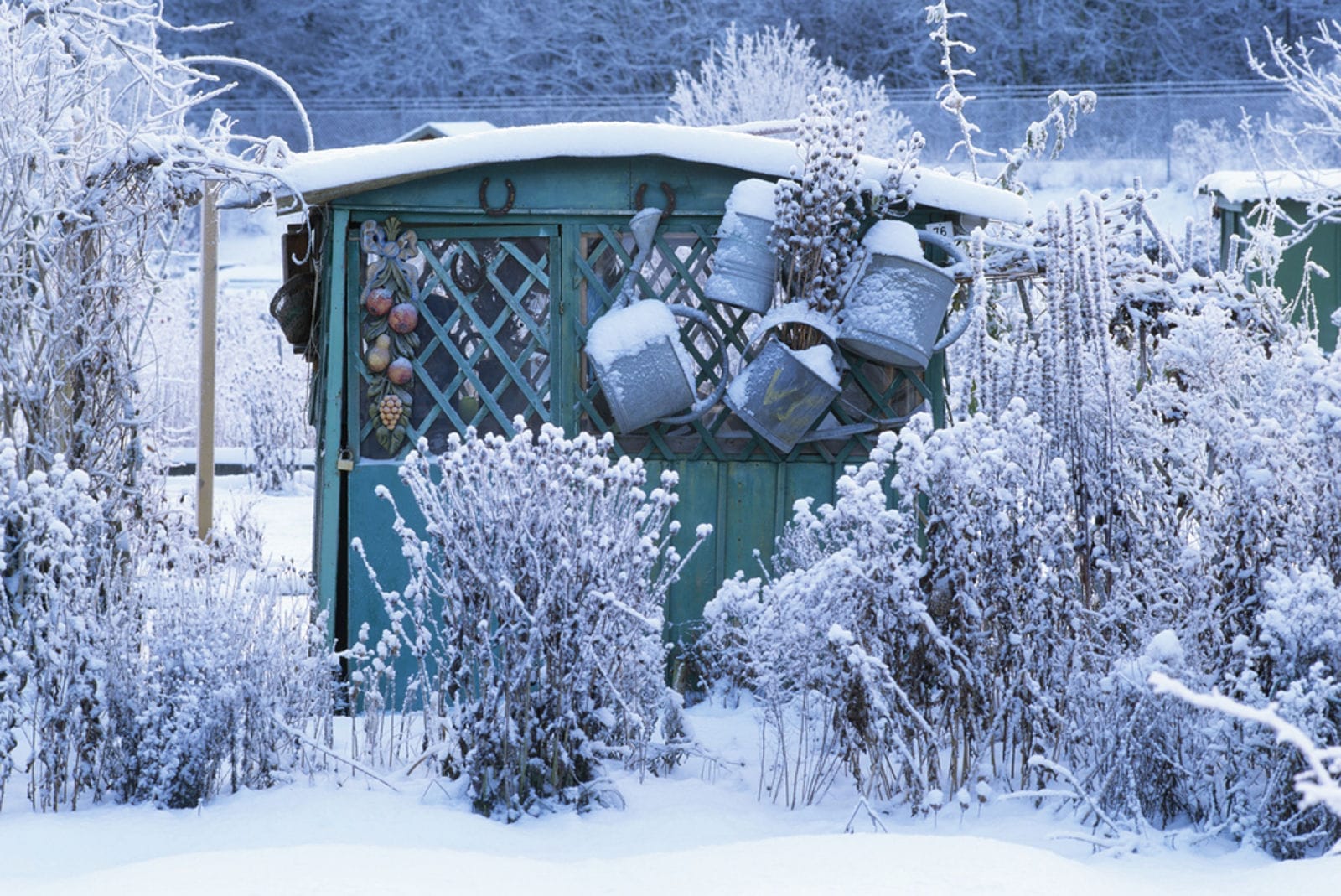 winter_1