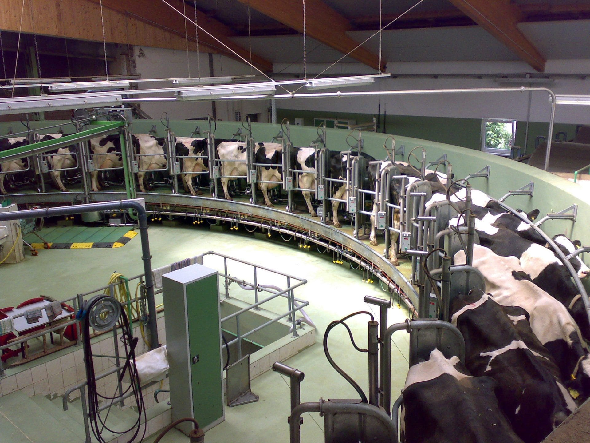 Mechanized Cows_Melkkarussell - Gunnar Richter _Tyson9