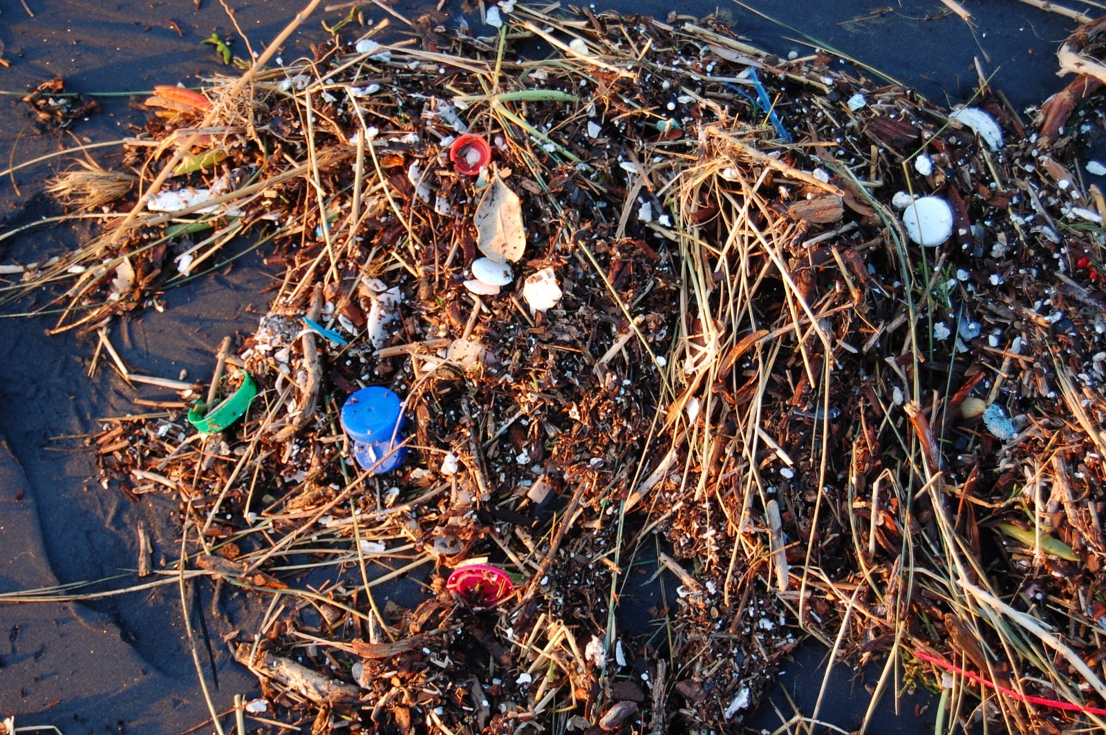 Why You May be Sending Plastic into the Oceans Without Realizing It