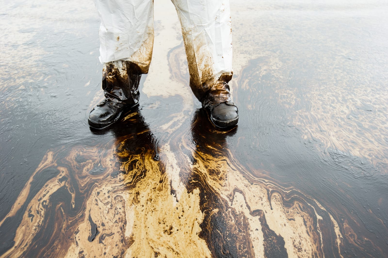 3 Times Pipeline Ruptures Damaged the Environment and How You Can Keep This from Happening Again