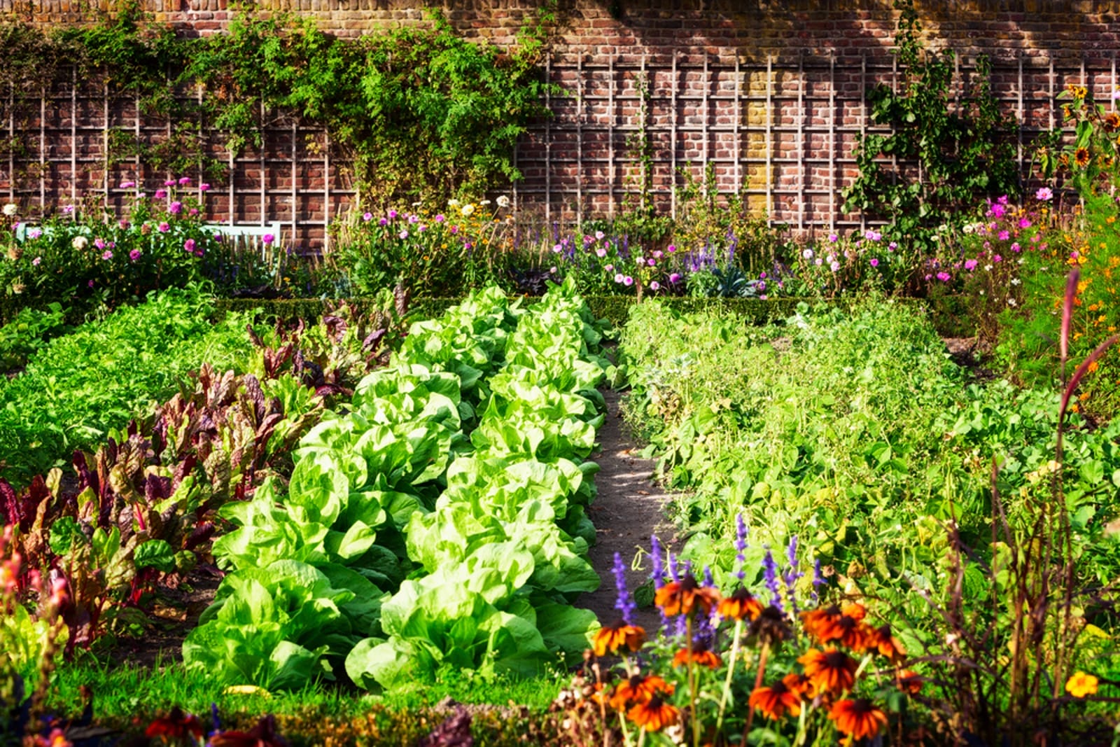 How to Use Crop Rotation for Healthier Soils and Higher Productivity